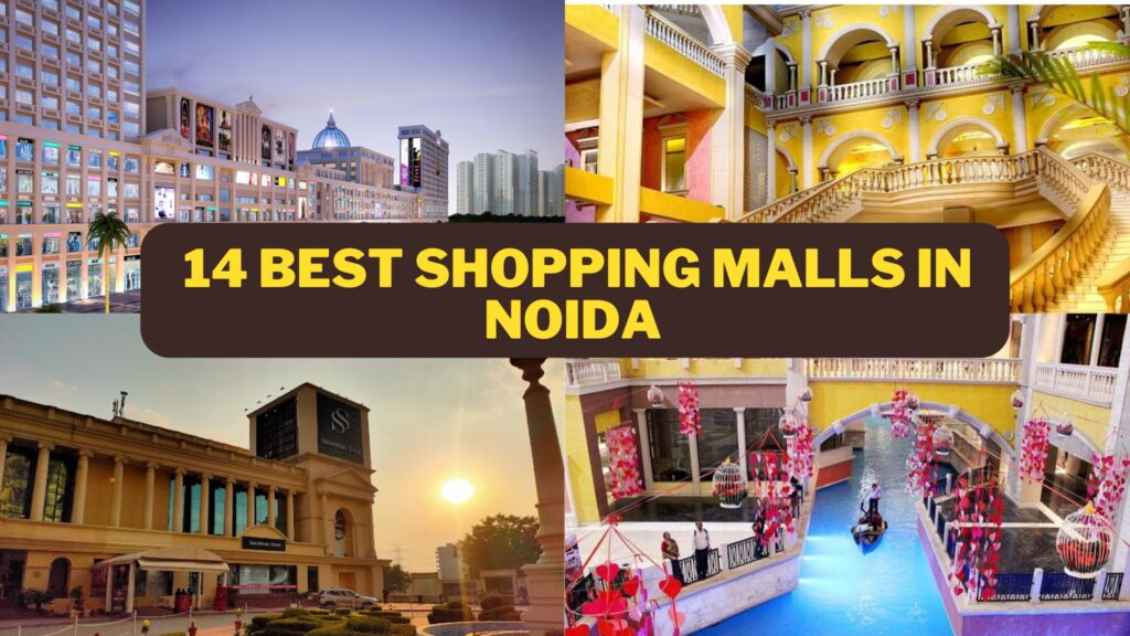 14 Best Shopping Malls in Noida