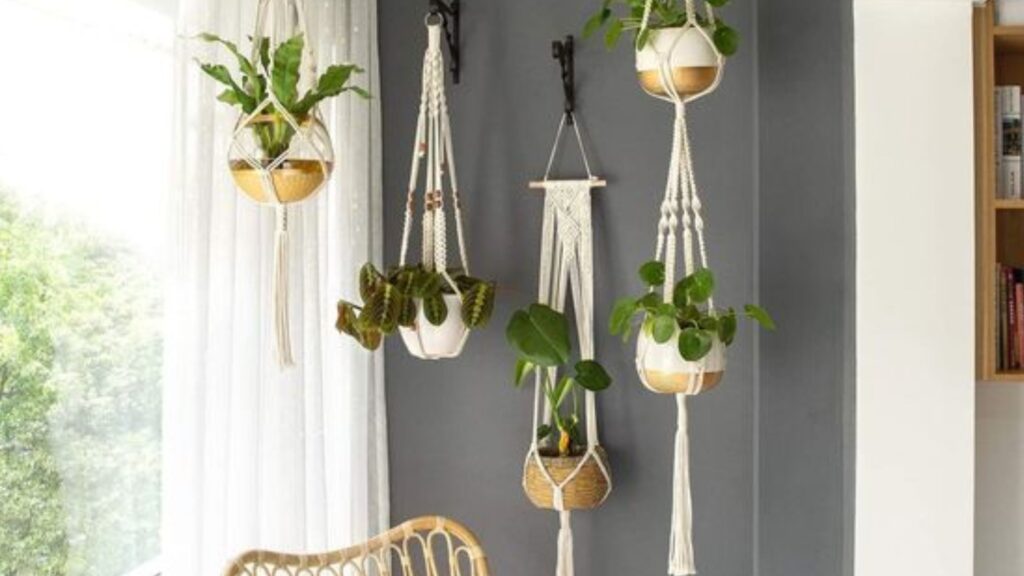 Go for Modern DIY Plant Hanger