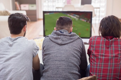 Fans Engaging with a Sport